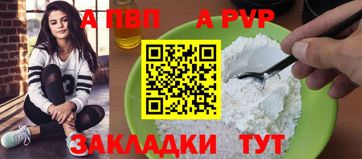 A PVP СК КРИС Новозыбков