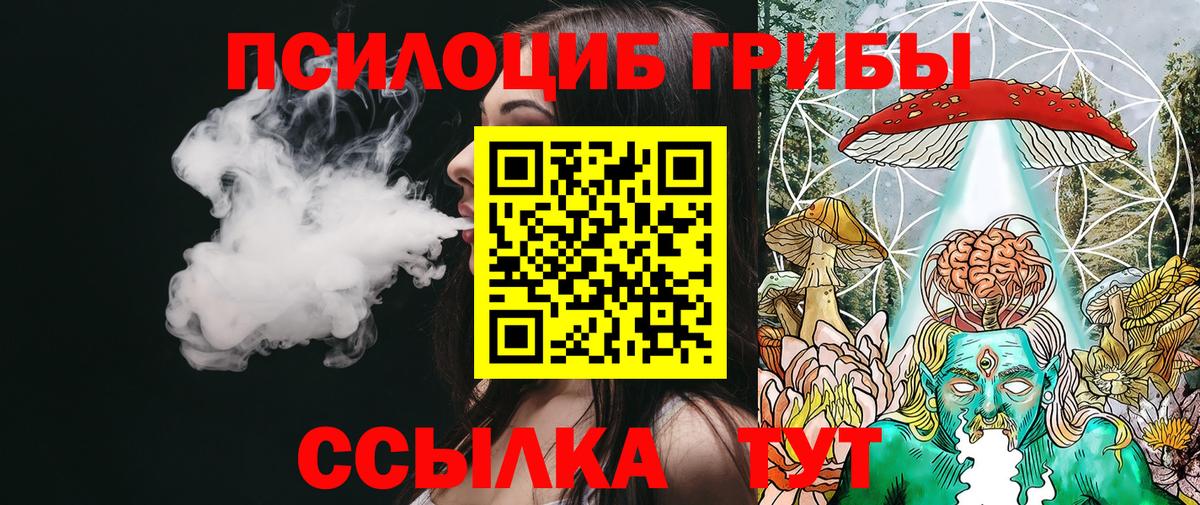 Новозыбков  Галлюциногенные грибы ЛСД  Вход с VPN 