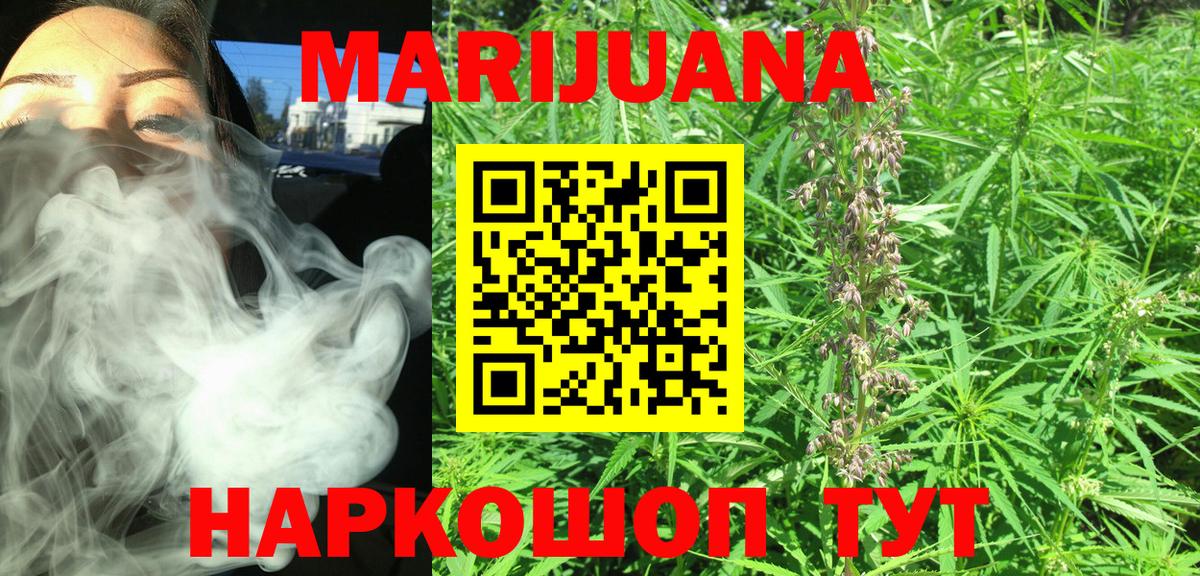 МАРИХУАНА планчик Новозыбков